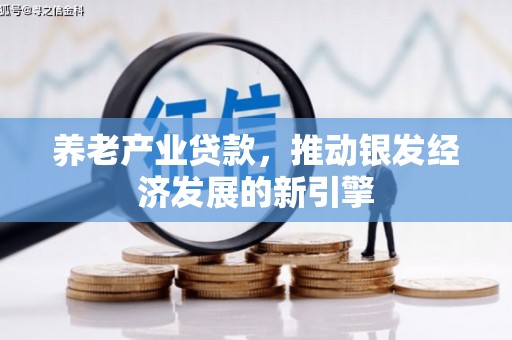 掇刀养老产业贷款，推动银发经济发展的新引擎