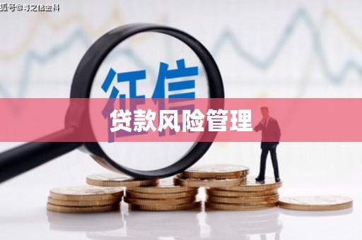 掇刀贷款风险管理