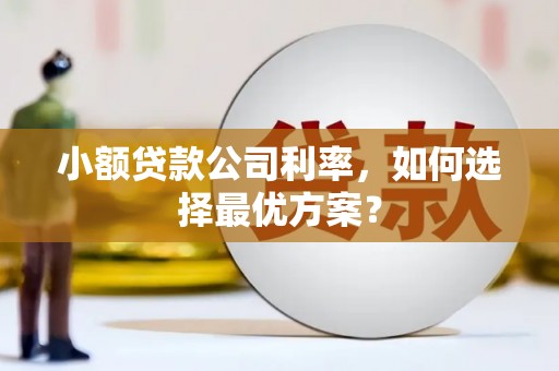 掇刀小额贷款公司利率，如何选择最优方案？