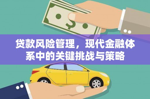 掇刀贷款风险管理，现代金融体系中的关键挑战与策略