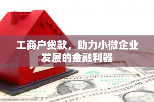 掇刀工商户贷款，助力小微企业发展的金融利器