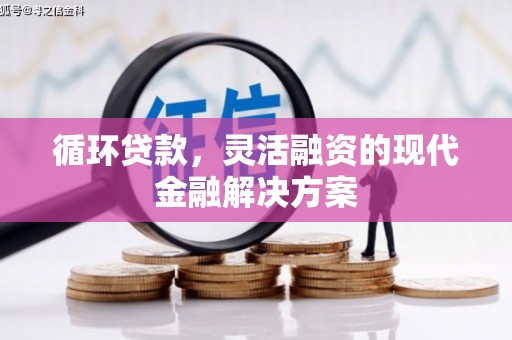 掇刀循环贷款，灵活融资的现代金融解决方案