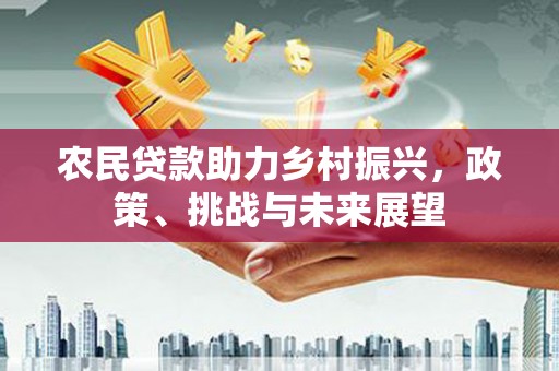 掇刀农民贷款助力乡村振兴，政策、挑战与未来展望