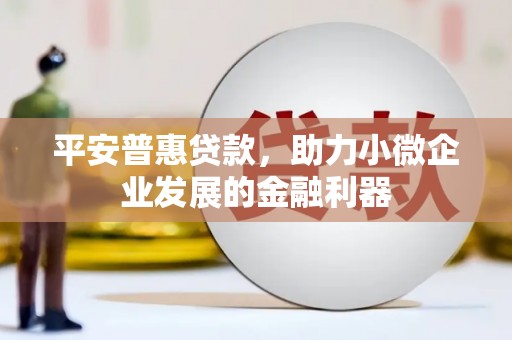 掇刀平安普惠贷款，助力小微企业发展的金融利器