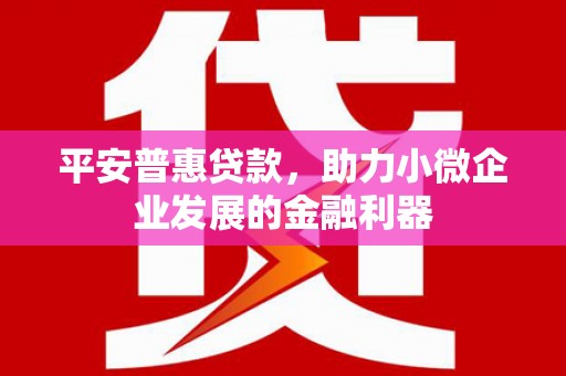 掇刀平安普惠贷款，助力小微企业发展的金融利器