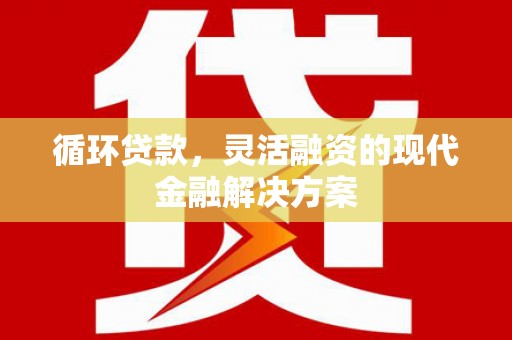 掇刀循环贷款，灵活融资的现代金融解决方案