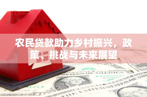掇刀农民贷款助力乡村振兴，政策、挑战与未来展望