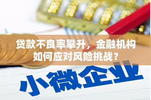 掇刀贷款不良率攀升，金融机构如何应对风险挑战？