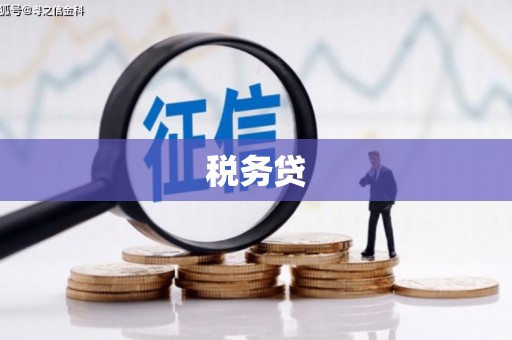 掇刀税务贷