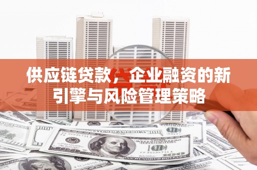 掇刀供应链贷款，企业融资的新引擎与风险管理策略