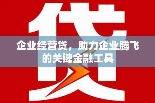 掇刀企业经营贷，助力企业腾飞的关键金融工具