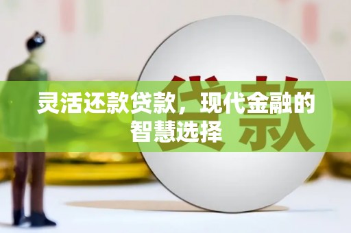 掇刀灵活还款贷款，现代金融的智慧选择