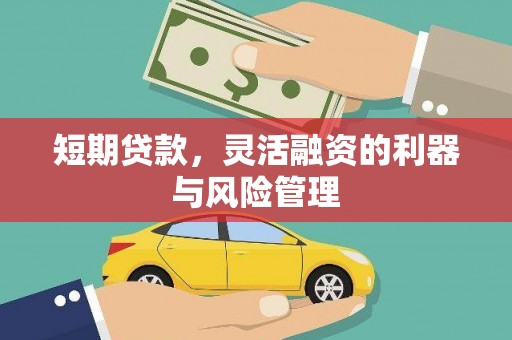 掇刀短期贷款，灵活融资的利器与风险管理
