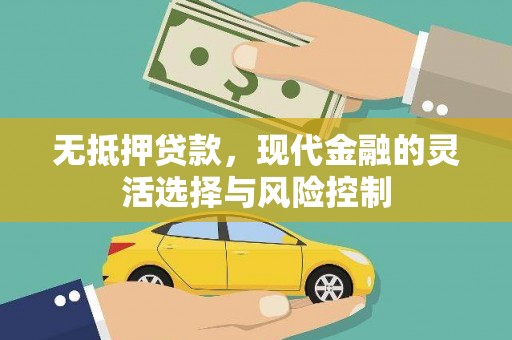 掇刀无抵押贷款，现代金融的灵活选择与风险控制