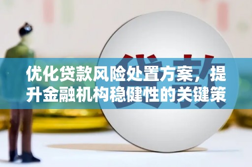 掇刀优化贷款风险处置方案，提升金融机构稳健性的关键策略