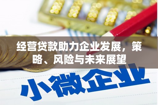 掇刀经营贷款助力企业发展，策略、风险与未来展望