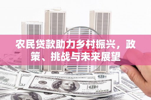 掇刀农民贷款助力乡村振兴，政策、挑战与未来展望