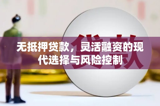 掇刀无抵押贷款，灵活融资的现代选择与风险控制