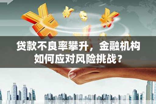 掇刀贷款不良率攀升，金融机构如何应对风险挑战？