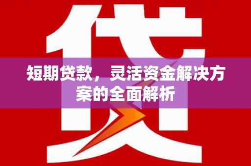 掇刀短期贷款，灵活资金解决方案的全面解析