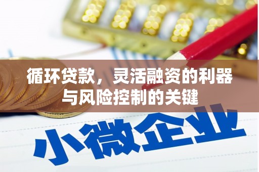 掇刀循环贷款，灵活融资的利器与风险控制的关键