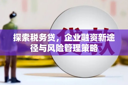 掇刀探索税务贷，企业融资新途径与风险管理策略