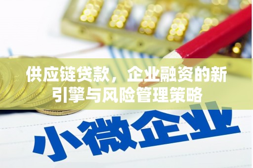 掇刀供应链贷款，企业融资的新引擎与风险管理策略