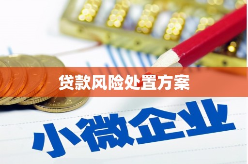 掇刀贷款风险处置方案