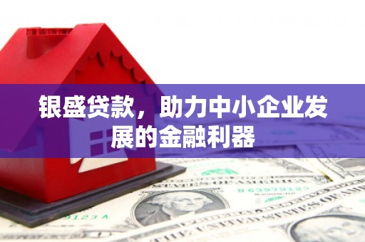 掇刀银盛贷款，助力中小企业发展的金融利器
