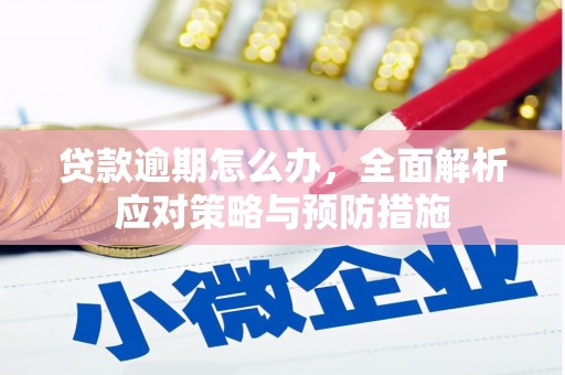 掇刀贷款逾期怎么办，全面解析应对策略与预防措施