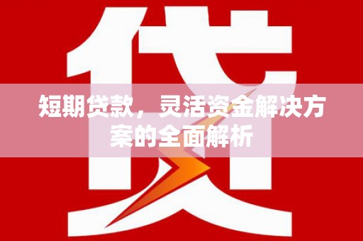 掇刀短期贷款，灵活资金解决方案的全面解析