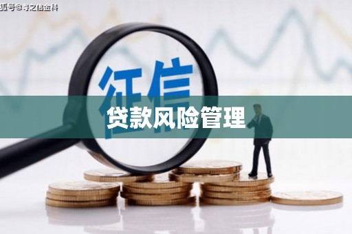 掇刀贷款风险管理