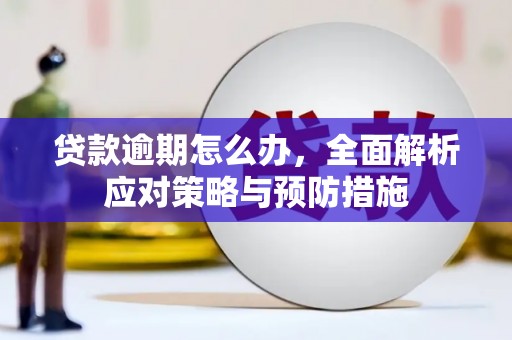 掇刀贷款逾期怎么办，全面解析应对策略与预防措施