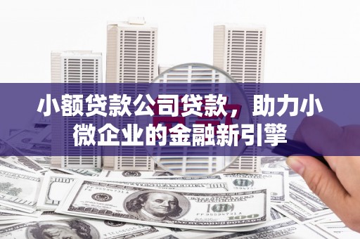 掇刀小额贷款公司贷款，助力小微企业的金融新引擎