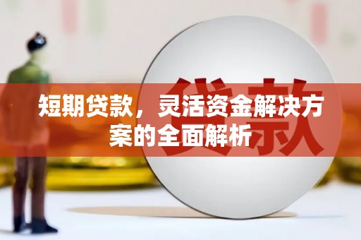 掇刀短期贷款，灵活资金解决方案的全面解析
