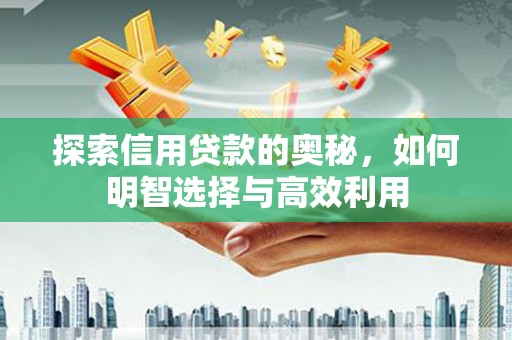 掇刀探索信用贷款的奥秘，如何明智选择与高效利用