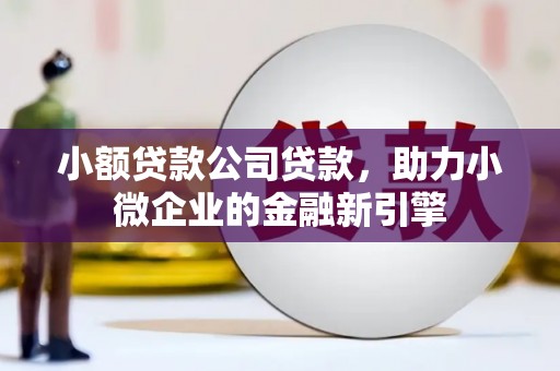 掇刀小额贷款公司贷款，助力小微企业的金融新引擎