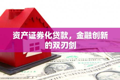 掇刀资产证券化贷款，金融创新的双刃剑