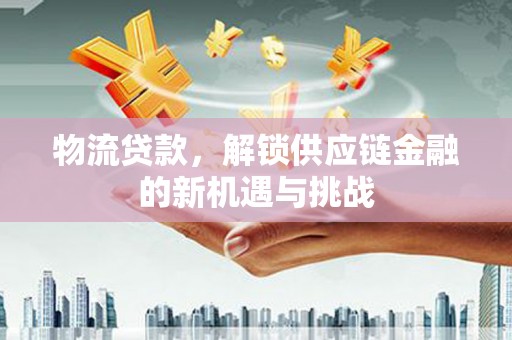掇刀物流贷款，解锁供应链金融的新机遇与挑战