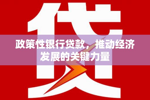 掇刀政策性银行贷款，推动经济发展的关键力量