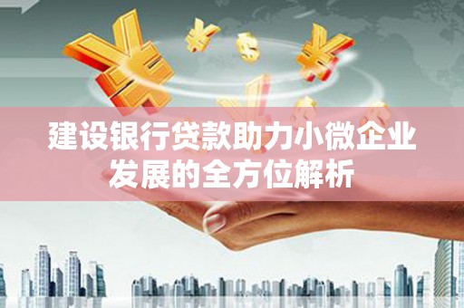 掇刀建设银行贷款助力小微企业发展的全方位解析