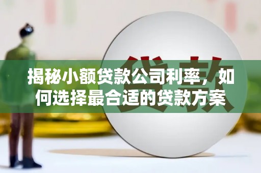 掇刀揭秘小额贷款公司利率，如何选择最合适的贷款方案