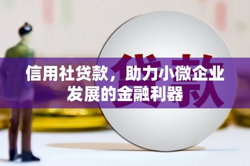 掇刀信用社贷款，助力小微企业发展的金融利器