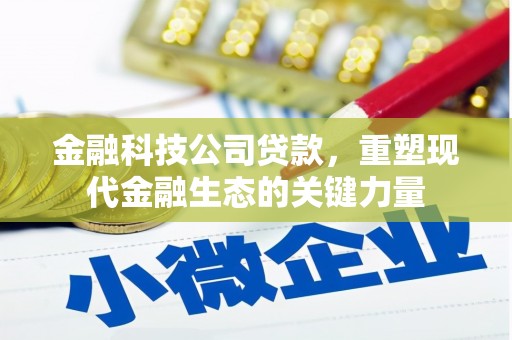 掇刀金融科技公司贷款，重塑现代金融生态的关键力量