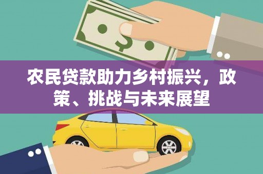 掇刀农民贷款助力乡村振兴，政策、挑战与未来展望