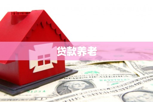 掇刀贷款养老