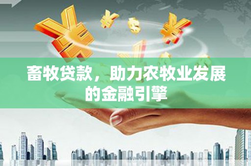 掇刀畜牧贷款，助力农牧业发展的金融引擎