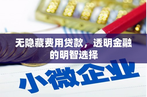 掇刀无隐藏费用贷款，透明金融的明智选择