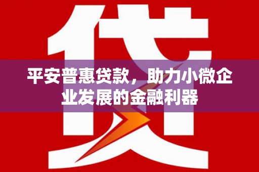 掇刀平安普惠贷款，助力小微企业发展的金融利器