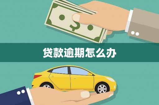 掇刀贷款逾期怎么办